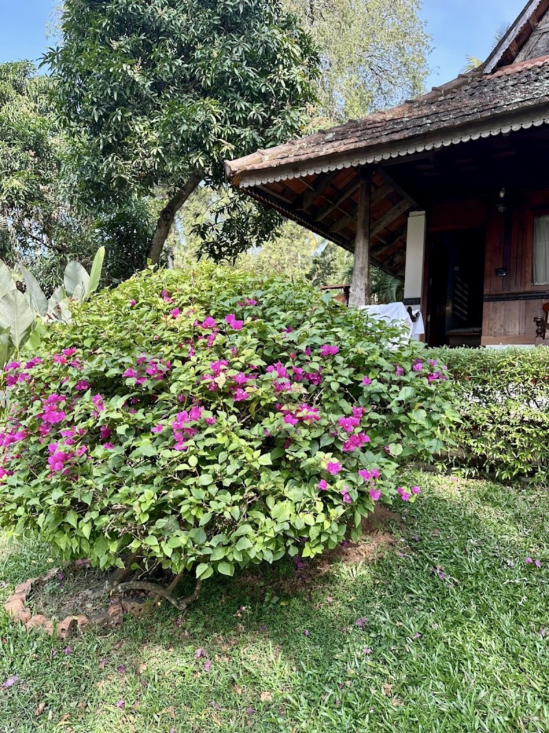 THE BEACH HOUSE - THE BEACH HOUSE ODAYAM EDAVA, Varkala, Kerala 695141, India