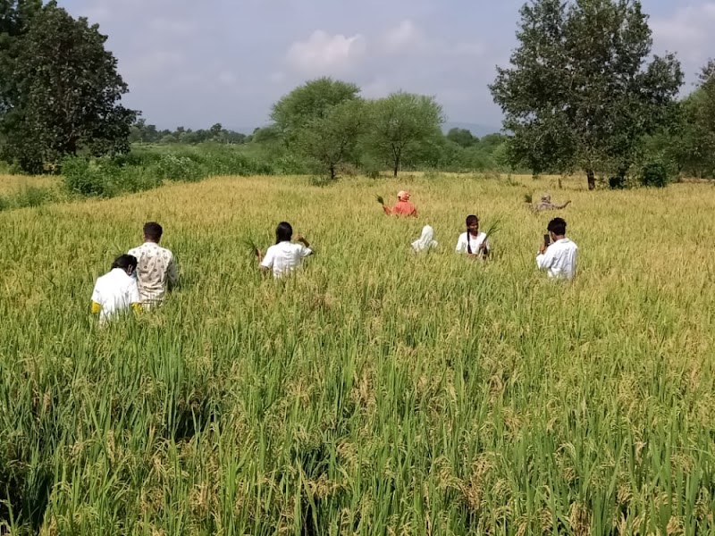 Rani Avanti Bai Lodhi College Of Agriculture and Research Station Chhuikhadan - Rani Avanti Bai Lodhi College Of Agriculture and Research Station Chhuikhadan, SH 5, Chhuikhadan, Radhapur, Chhattisgarh 491885, India