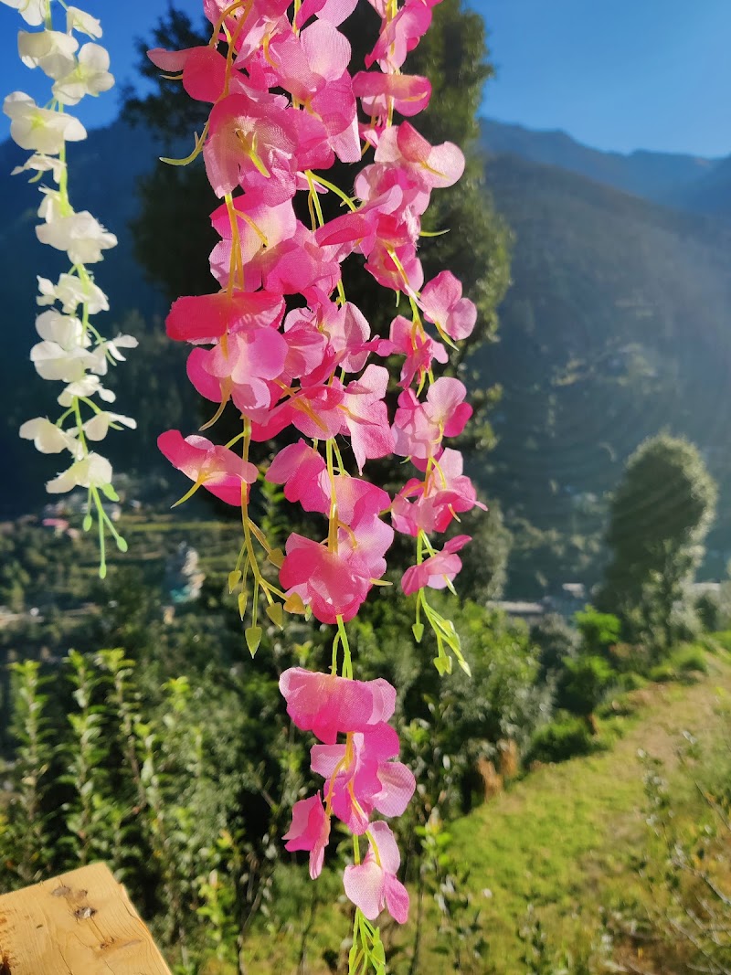 Mountain Majesty cottage Jibhi - Mountain Majesty cottage Jibhi Village kandhi Post office tandi, tehsil, Banjar, Bini, Himachal Pradesh 175123, India