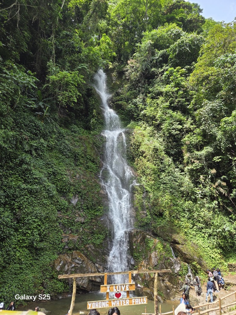 Rimbi Orange Garden - Rimbi Orange Garden Pelling-Rimbi Rd, Pelling City, Sikkim 737113, India