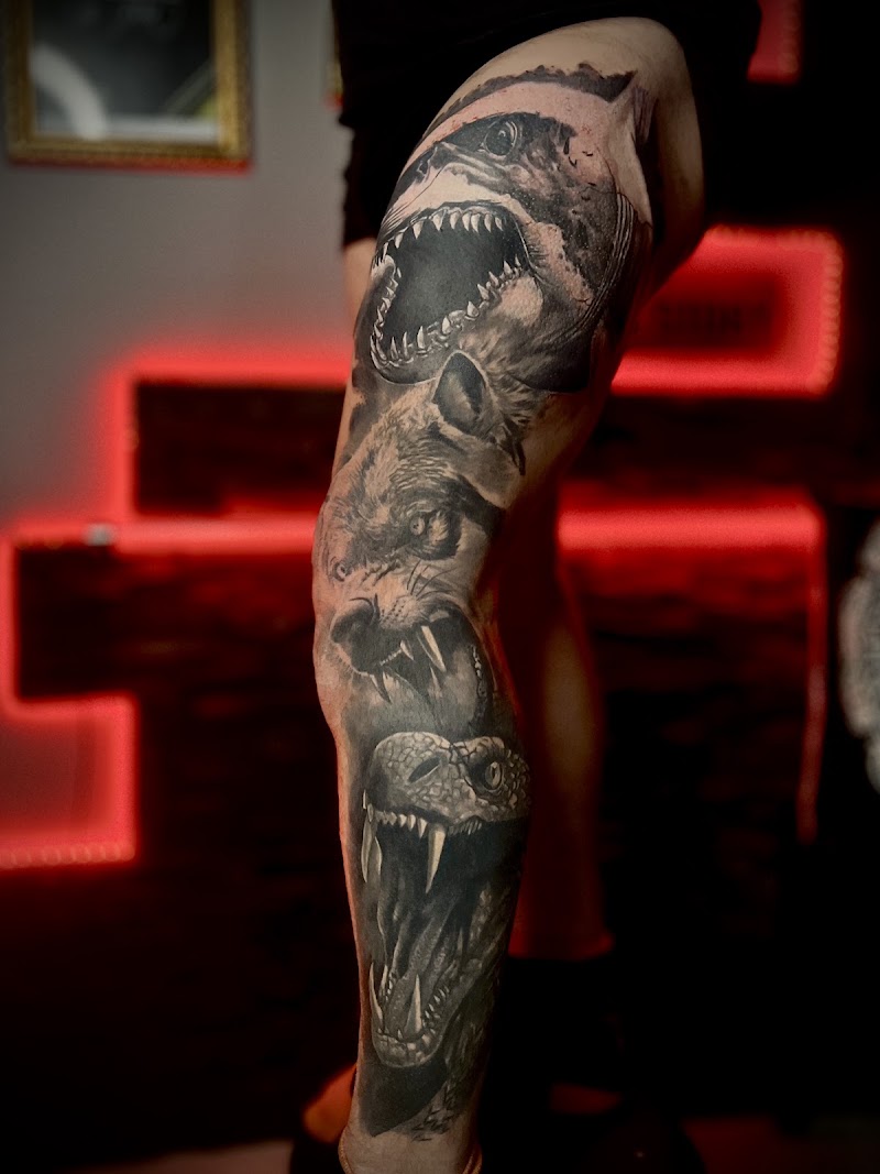 Tattoo story - Tattoo story, Kaplířova 2304/12, 301 00 Plzeň 3, Czechia