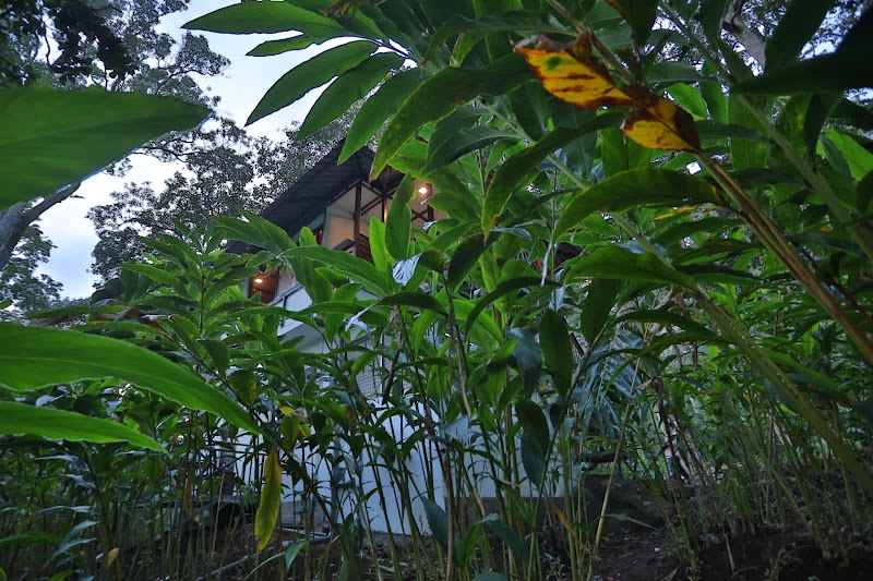 Double Trees Staycation - Double Trees Staycation chirackel h pottankadu p.o 20acre, Munnar, Kerala 685565, India