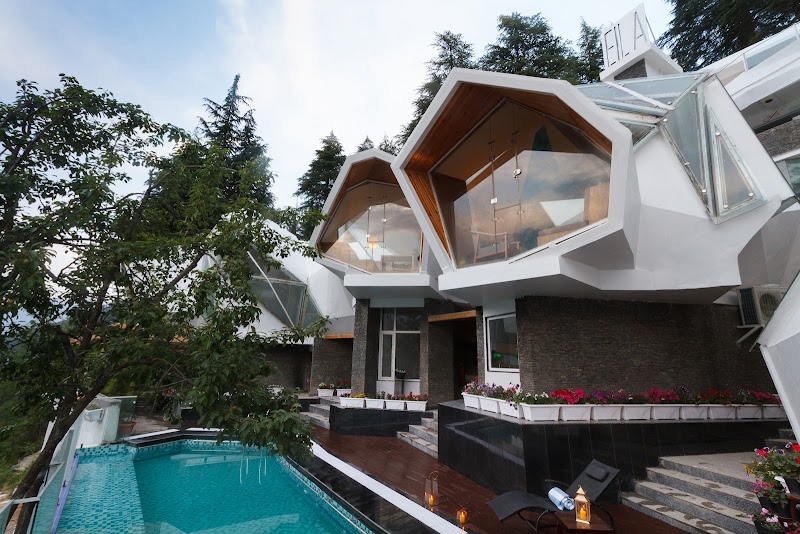 Tree of Life Eila Art Hotel, Manali