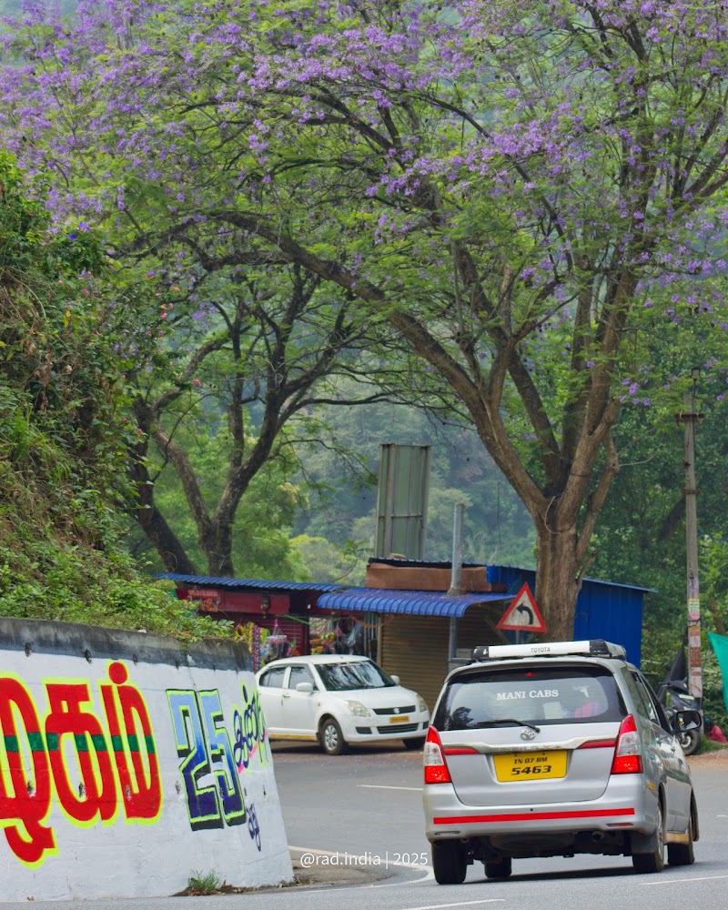 Coonoor,ooty - Coonoor,ooty 8QVV+HR2, Alwarpet, Coonoor, Tamil Nadu 643102, India