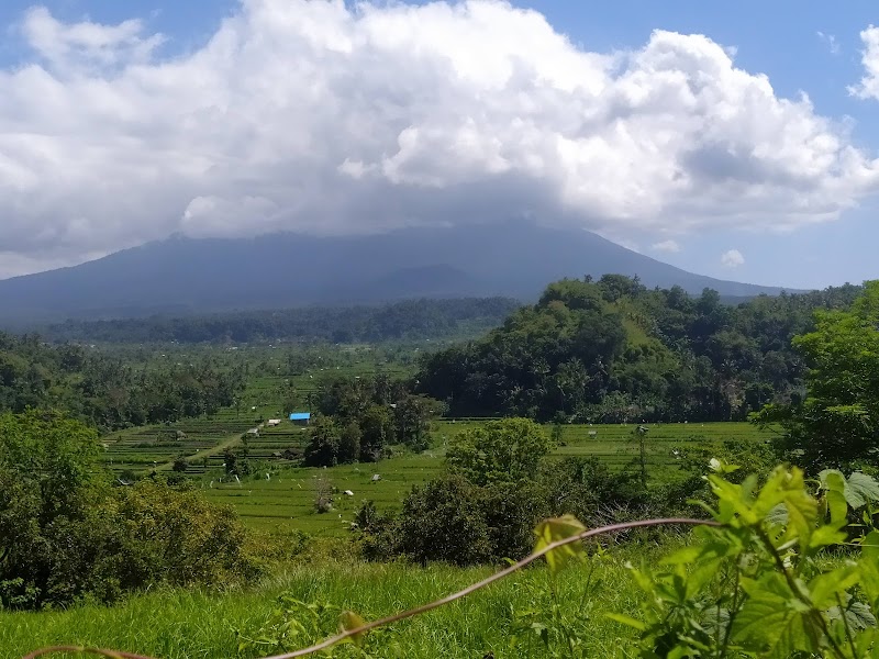 Bukit Cinta - Bukit Cinta, Abyandauh,Pangi Karangasem, HJF5+FGV, Karangasem, Kec. Karangasem, Kabupaten Karangasem, Bali 80811, Indonesia