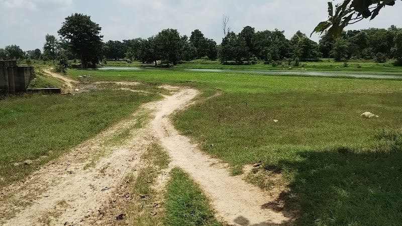 Bhanpur gp tikrapada - Bhanpur gp tikrapada, Tikrapada, Bhanpur, Odisha 766104, India