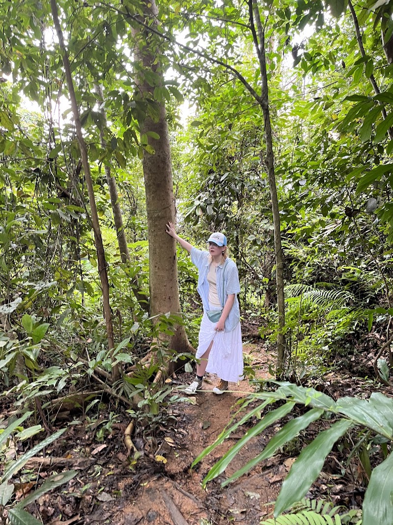 Big Buddha Hiking Trail - Big Buddha Hiking Trail ปฏัก, ซอย 14, Tambon Karon, Amphoe Mueang Phuket, Chang Wat Phuket 83100, Thailand