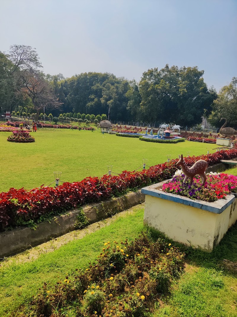 Delhi Public School, Bhilai - Delhi Public School, Bhilai, 58FP+658, Risali Sector, Bhilai, Chhattisgarh 490006, India