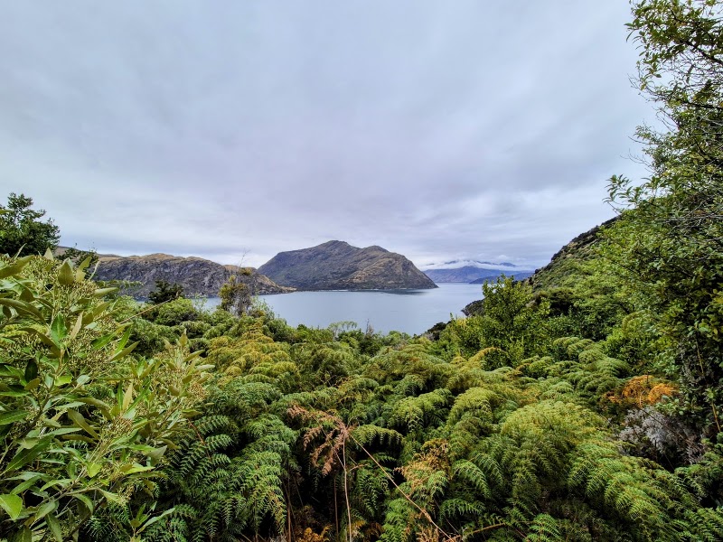 Mou Waho Lookout Point - Mou Waho Lookout Point, Arethusa Pool, Otago Region 9382, New Zealand
