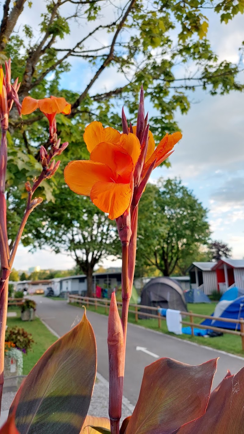 Camping Fischerhaus - Camping Fischerhaus Promenadenstrasse 52, 8280 Kreuzlingen, Switzerland