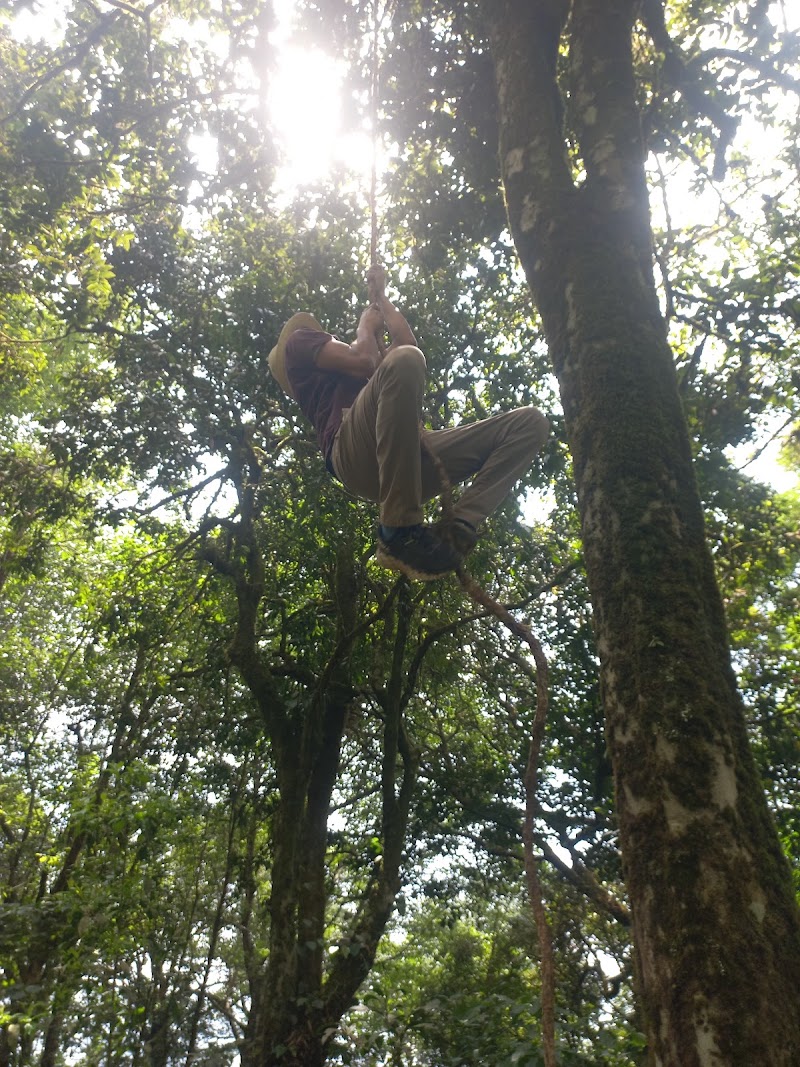 Munnar tea trekking adventure - Munnar tea trekking adventure 20 Acre, Munnar Road, Nullatanni, Pallivasal, Munnar, Kerala 685612, India