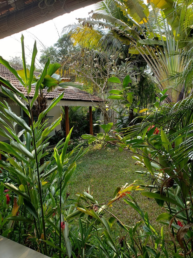 Assagao Bay - Assagao Bay, 537, Baunta Vaddo, Bouta Waddo, Assagao, Goa 403507, India