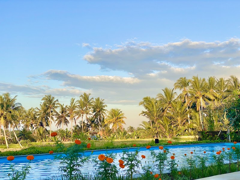 Big Dragon Villas Ubud - Big Dragon Villas Ubud, Jl. Banjar Tatiapi, Pejeng Kawan, Kec. Tampaksiring, Kabupaten Gianyar, Bali 80552, Indonesia