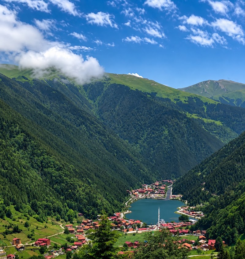 Layiga Salıncak & Zipline Uzungöl - Swing & المراجىح