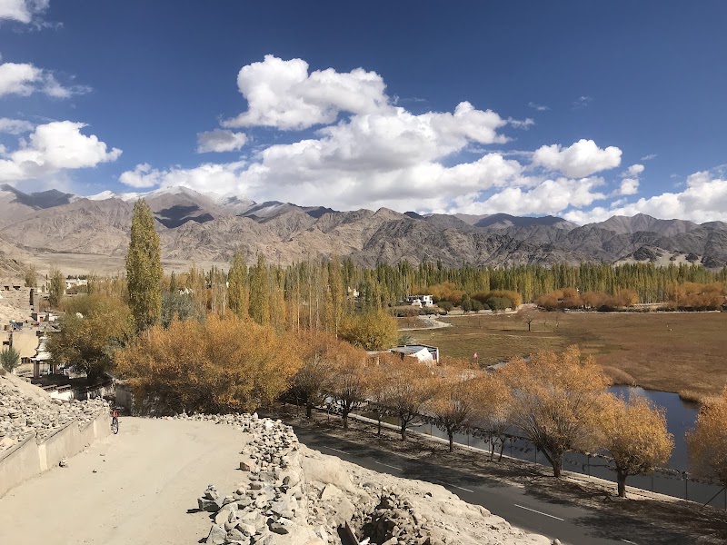 Ladakh Autonomous Hill Development Council - Ladakh Autonomous Hill Development Council, Near Polo Ground Leh Jammu and Kashmir, Leh, 194101