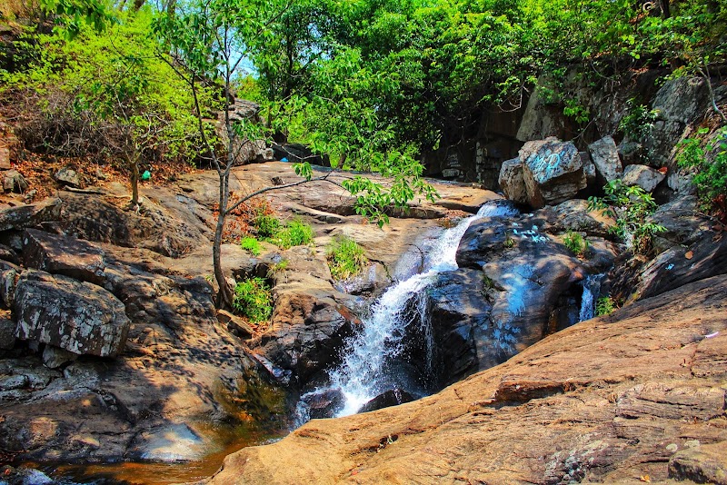 Gandhamardana Hill Reserve - Gandhamardana Hill Reserve, VRFV+226, Mahul Pali, Odisha, India