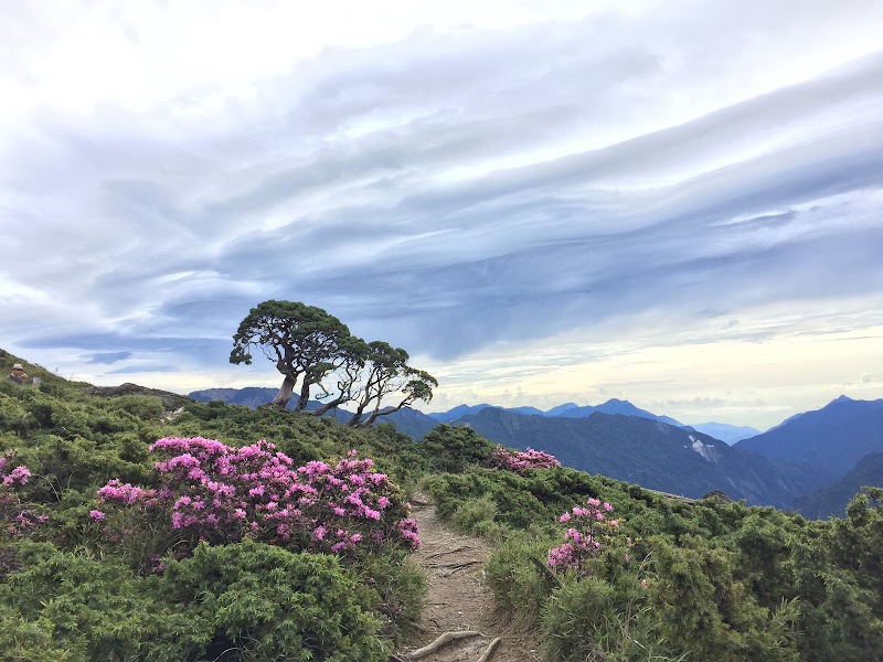 Hehuanshan North Peak Trail - Hehuanshan North Peak Trail 972, Taiwan, Hualien County, Xiulin Township, 南投縣仁愛鄉