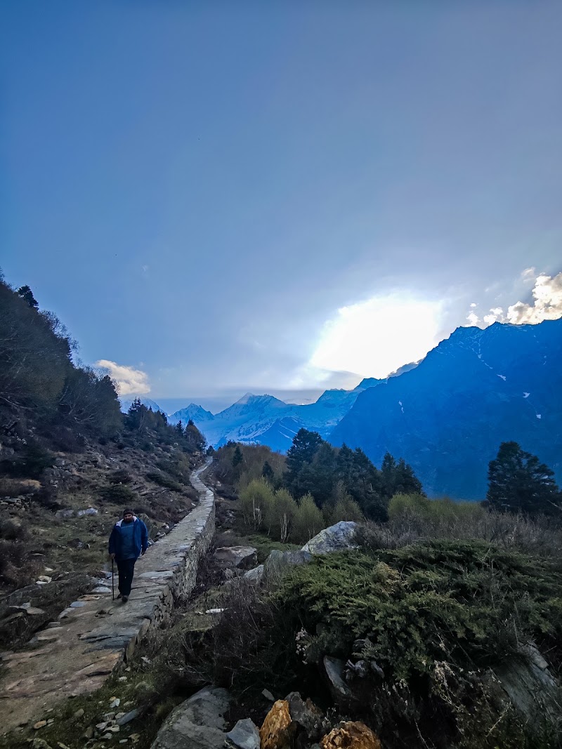 Zero Point panchachuli - Zero Point panchachuli, 6FFV+FR6, Sobala R.F., Uttarakhand 262545, India