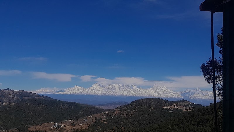 Pahadi Rasoi by Chef RG - Pahadi Rasoi by Chef RG 9MX8+248, Bhatelia-Dhanachuli-BhimtalRoad, Dhanachuli, Uttarakhand 263136, India