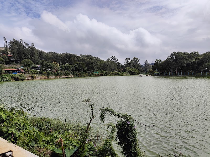 Yercaud Lake & Boat House (Emerald Lake) - Yercaud Lake & Boat House (Emerald Lake) Lake Road, Yercaud, Tamil Nadu 636602, India
