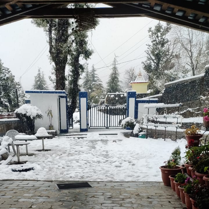 Oasis Guest House Bhagsu (D'Shala) - Oasis Guest House Bhagsu (D'Shala) Upper, 68XJ+WV3, Bhagsu Nag, Dharamshala, Himachal Pradesh 176216, India
