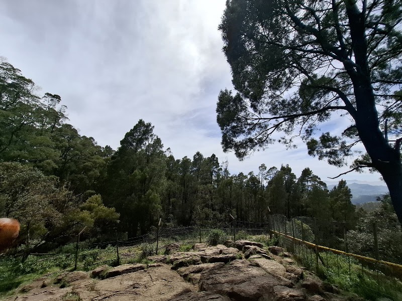 Doddabetta Ooty Highest Point - Doddabetta Ooty Highest Point RCAG Station, Airports Authority of India, T Mynalai, Ooty, Tamil Nadu 643002, India