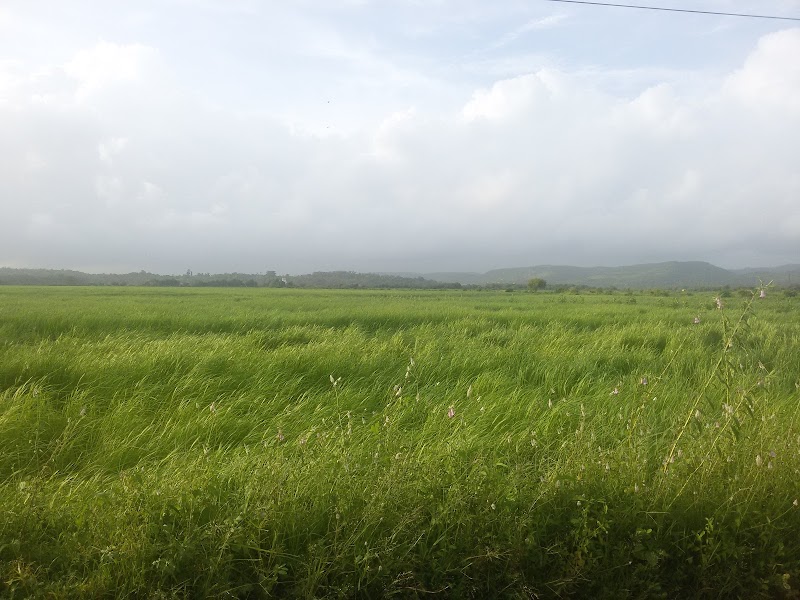 Ilha de Rachol - Ilha de Rachol, Rachol, Shelvan, Goa 403719, India