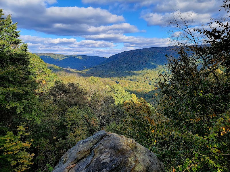 Ohiopyle State Park - Ohiopyle State Park, 124 Main St, Ohiopyle, PA 15470, USA