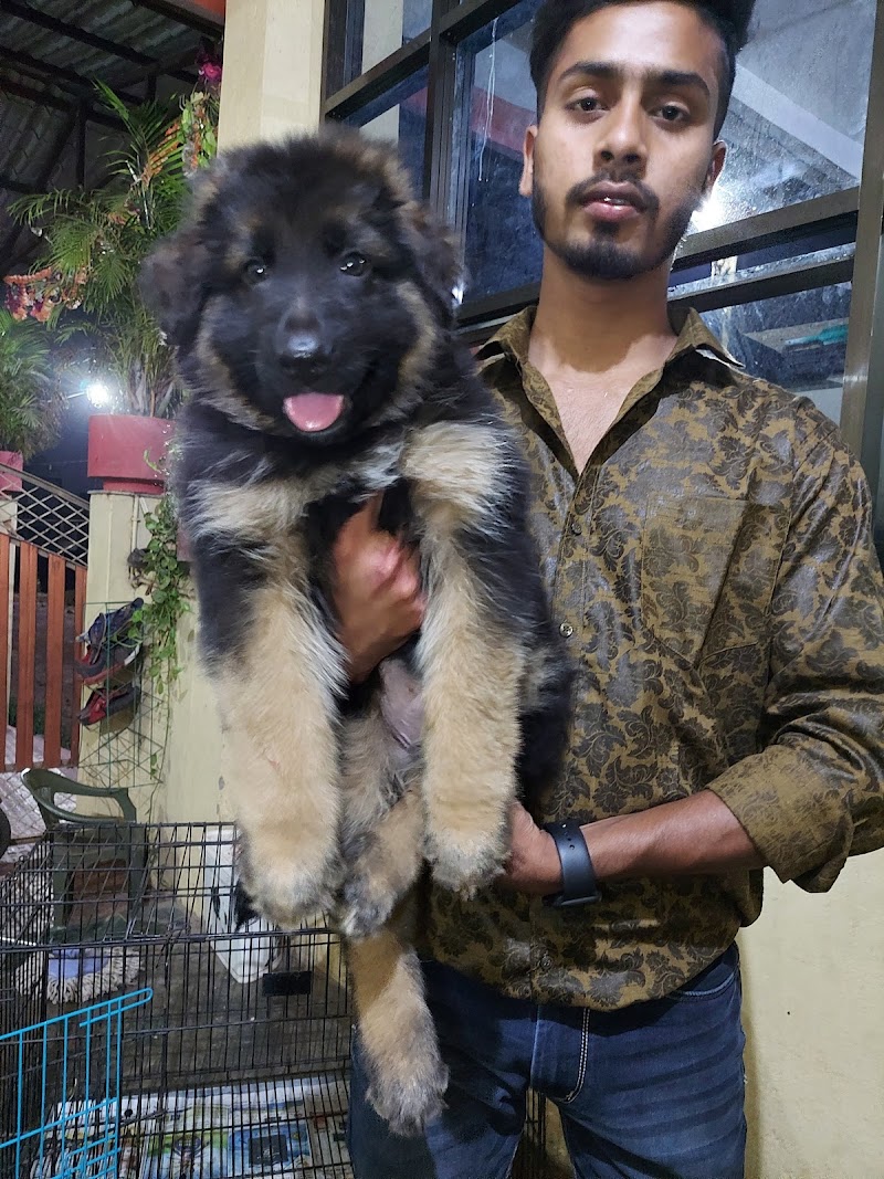 Doggyz HuB Dmt - Doggyz HuB Dmt, Aama talab road, Rudri Road, indoor stadium, ke pass, Ekta Nagar, Itwari Bazar, Dhamtari, Chhattisgarh 493773, India