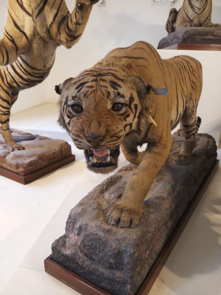 HH Maharaja Sir Jiwajirao Scindia Museum - HH Maharaja Sir Jiwajirao Scindia Museum Jai Vilas Palace, Lashkar, Gwalior, Madhya Pradesh 474009, India