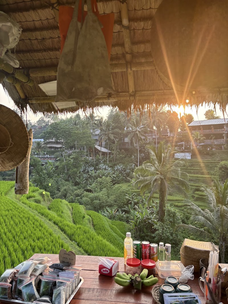 Mupu Rice Terrace - Mupu Rice Terrace Tegallalang, Gianyar Regency, Bali 80561, Indonesia