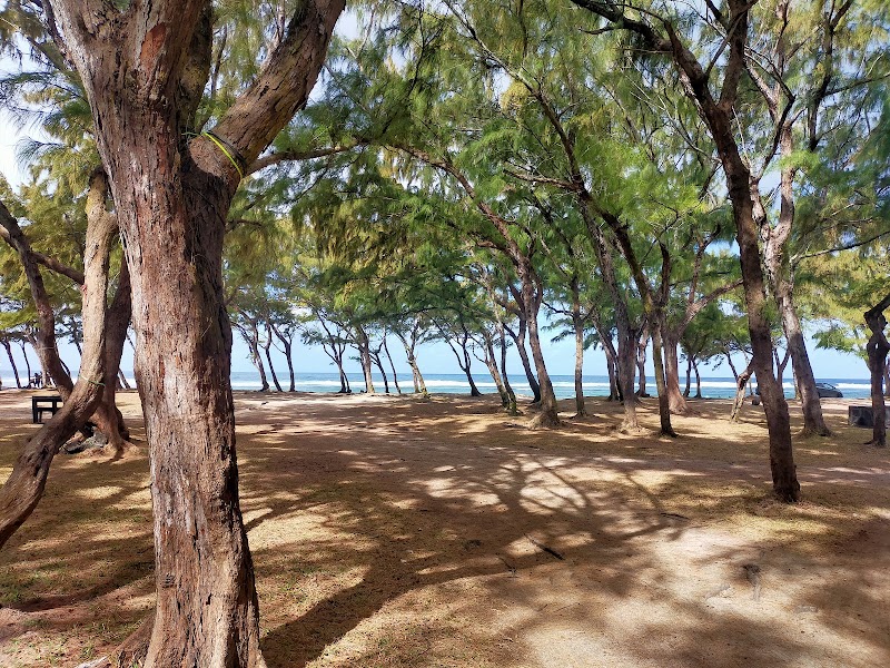 Palmar beach - Palmar beach, Quatre Cocos, Mauritius