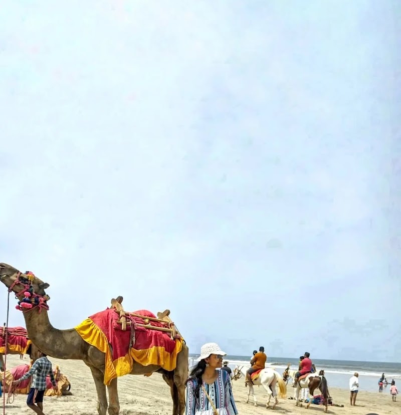 Ganpatipule Beach - Ganpatipule Beach Ganpatipule Beach, Maharashtra 415615, India