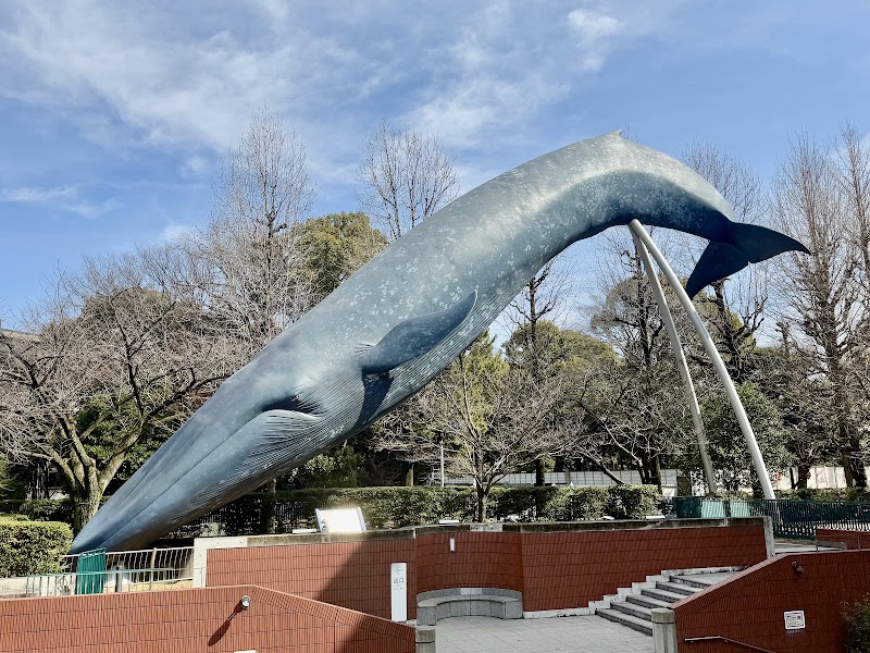 Ueno Park - Ueno Park 5-20 Uenokōen, Taito City, Tokyo 110-0007, Japan