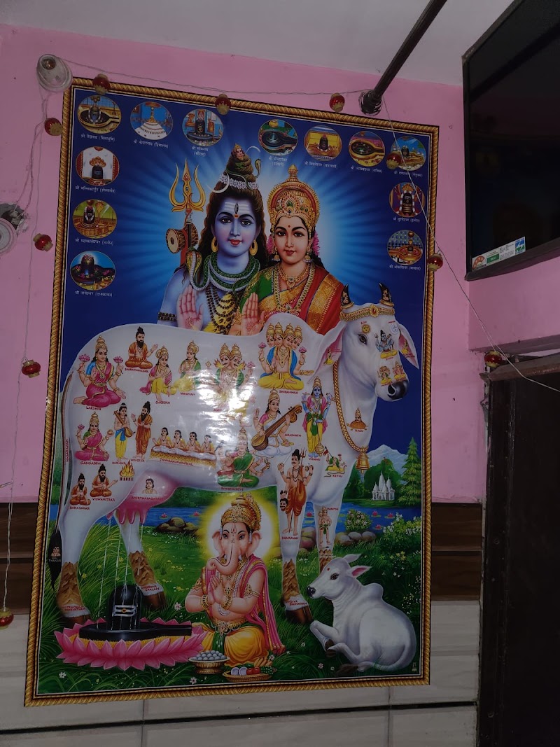 Govinda dairy - Govinda dairy RAJIV GARDEN, 92, Kansapur Rd, near STATE BANK OF INDIA, Bank Colony, Yamuna Nagar, Sasauli, Haryana 135001, India