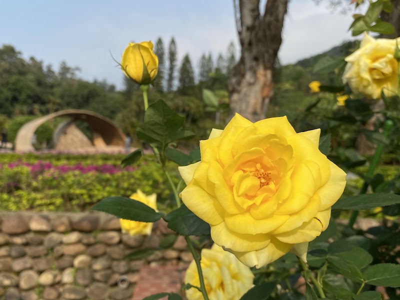 Rose Garden - Shilin Residence - Rose Garden - Shilin Residence No. 60號, Fulin Rd, Fulin Village, Shilin District, Taipei City, Taiwan 111