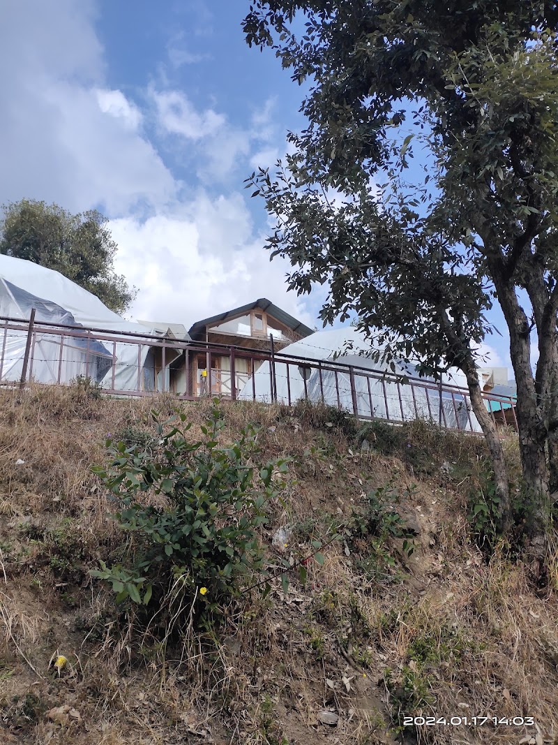 Shah Guest House Nainital - Shah Guest House Nainital, near Masjid, Tallital, Nainital, Uttarakhand 263001, India