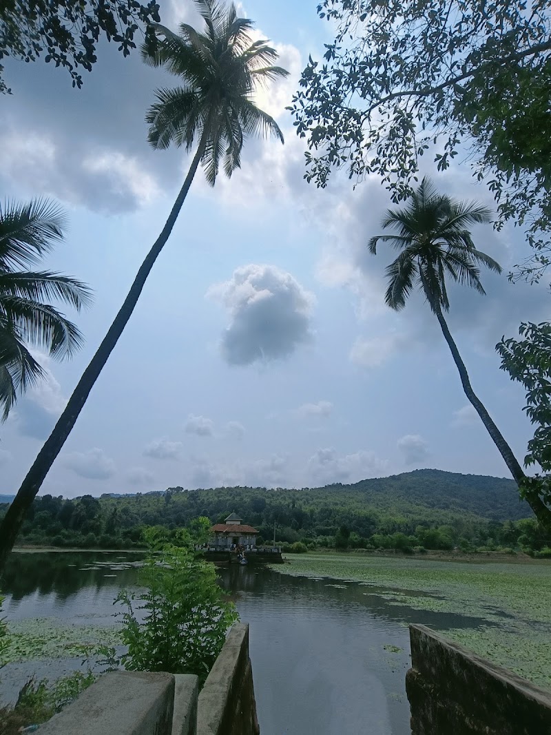 ವರಂಗ ಕೆರೆ ಜೈನ ಬಸದಿ - ವರಂಗ ಕೆರೆ ಜೈನ ಬಸದಿ, Chaturmukh Digamber Jain Temple, Varanga, Karnataka 574108, India
