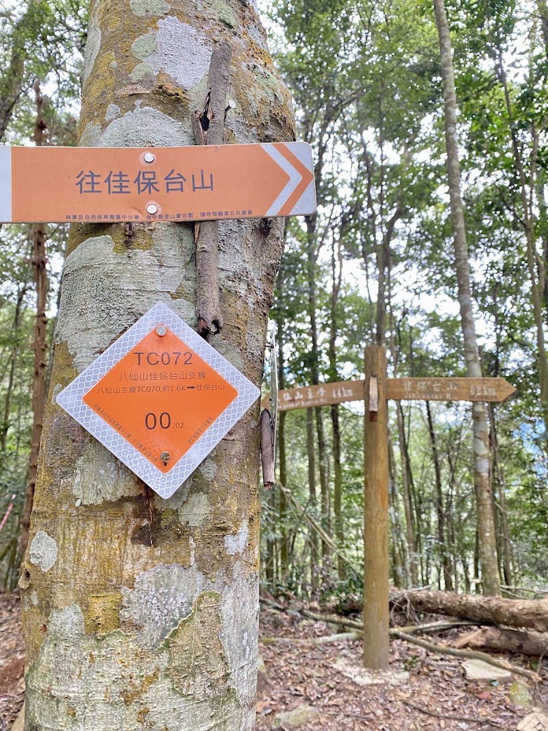 Jiabaotaishan - Jiabaotaishan, 424, Taiwan, Taichung City, Heping District, 台中市和平區