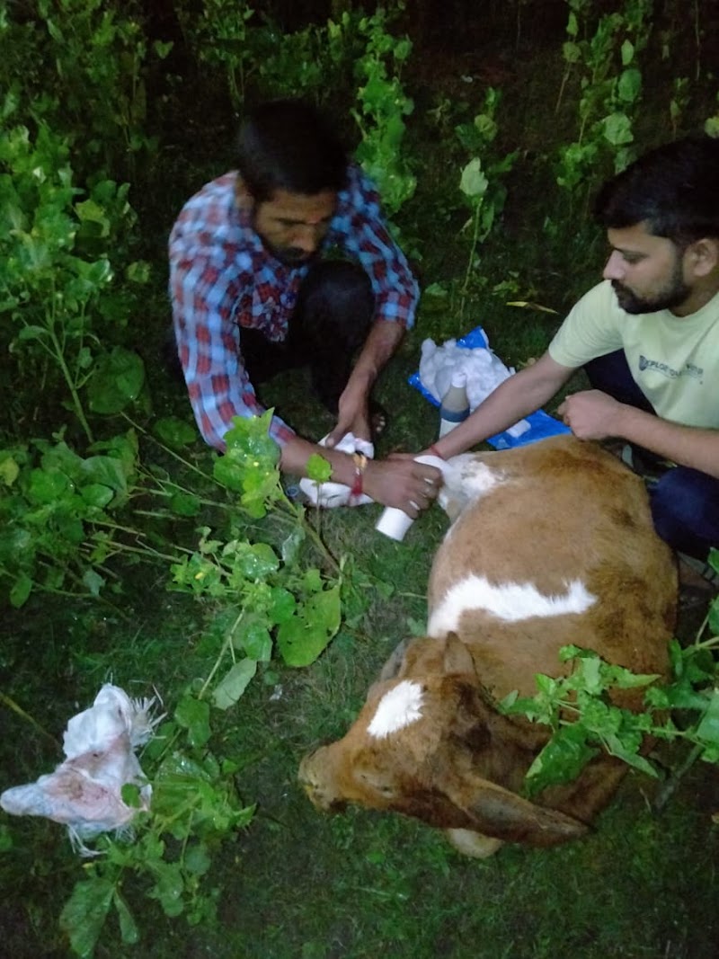 Sanidev gau seva dham - Sanidev gau seva dham, 24R8+CCH, Bilaspur, Chhattisgarh 495003, India