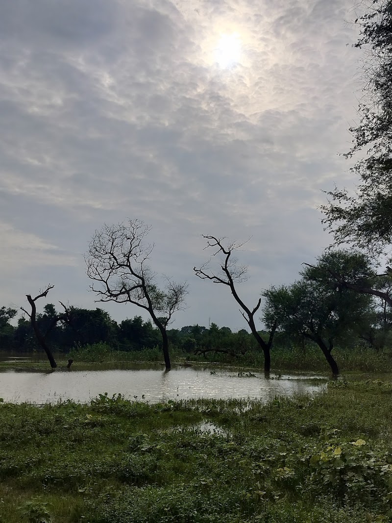DeepSavi River End picnic spot - DeepSavi River End picnic spot 5QJP+FWR, Naya Raipur Marg, Sector 13, Kayabandha, Atal Nagar-Nava Raipur, Chhattisgarh 492101, India