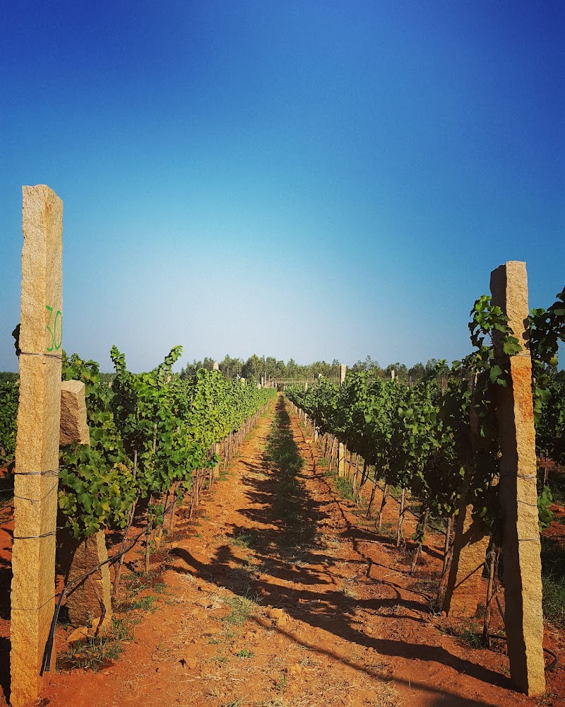 Grover Zampa Vineyards