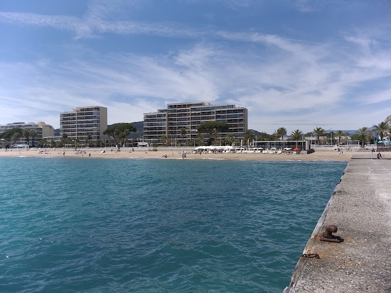 Plage du Sable d'Or - Plage du Sable d'Or Av. du Général de Gaulle, 06210 Mandelieu-la-Napoule, France