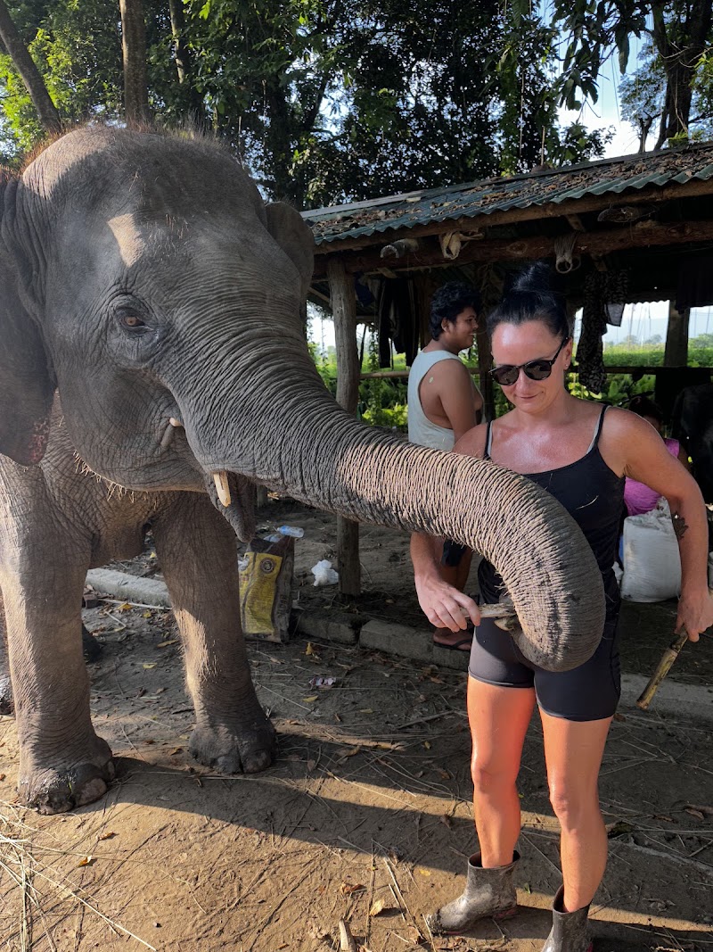 Elephant Care Nepal - Elephant Care Nepal Baadreni Road, Ratnanagar 44200, Nepal