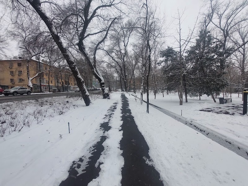 Гостиница Almaty City - Гостиница Almaty City, Dostyk Ave 296, Almaty, Kazakhstan