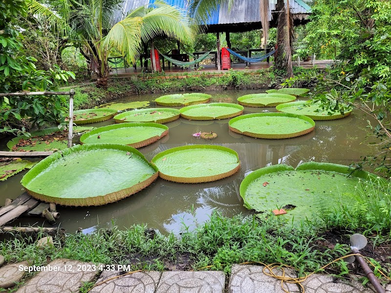 Cồn Sơn - Cồn Sơn, Bình Thủy, Cần Thơ, Vietnam