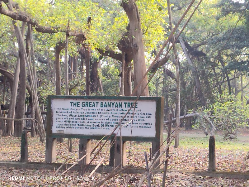 The Great Banyan Tree - The Great Banyan Tree B. Garden New Gate, Shibpur, Howrah, West Bengal 711103, India