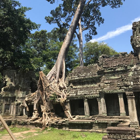 Preah Khan Temple - Preah Khan Temple, Krong Siem Reap, Cambodia