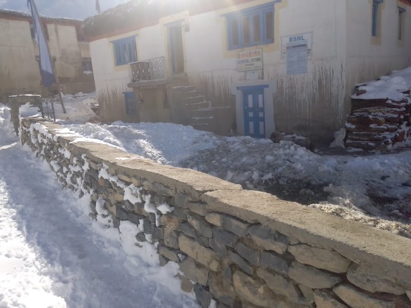 Dharma Homestay - Dharma Homestay, Phuntsok Dorjey C/O Dharma Homestay Sagnam, Pin Valley 172117 Tehsil-Kaza, Sangnam, Himachal Pradesh 172117, India