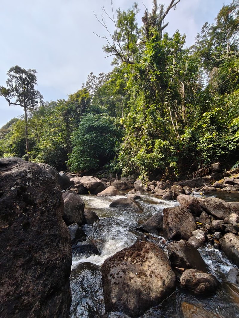 River wood cottages - River wood cottages Kallar Vattiyar, Kerala 685565, India